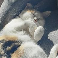 ももかさんのアイコン画像