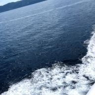 Ruaさんのアイコン画像