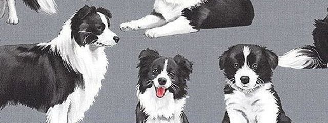 🆁🆈🅾🆃🅰さんの壁紙画像