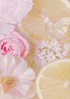  君 の こ と が 好 き な ん で す 