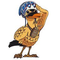 sngkさんのアイコン画像