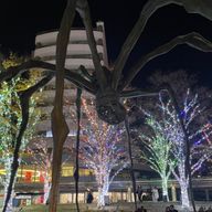 tttttさんのアイコン画像