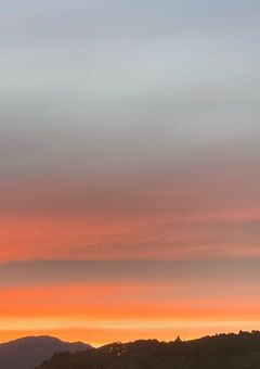 夜桜家の末娘、呪術師でした