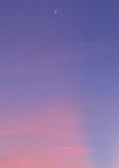 銀級スパイの溺愛婚姻譚