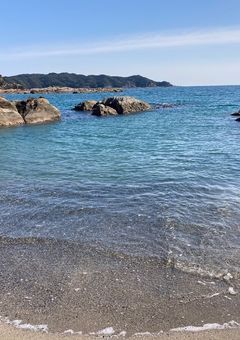 深海少女と夜桜少年