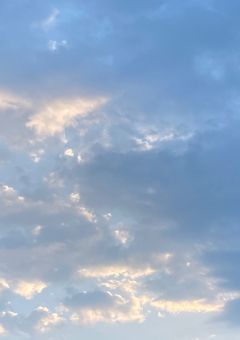 工藤家の御息女は演技派