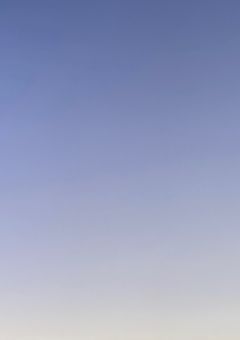 地球のお姫様