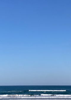 夜桜の暗殺メイド様