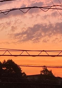 夜桜家の長女は最狂