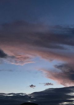 フラグなんてへし折ってやるわ！！