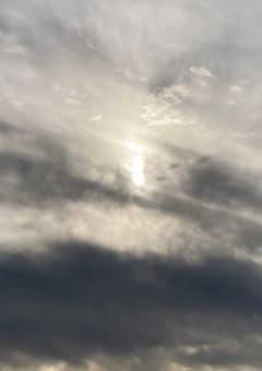 フラグなんてへし折ってやるわ！