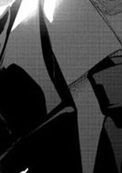 白天竺葵の過ち