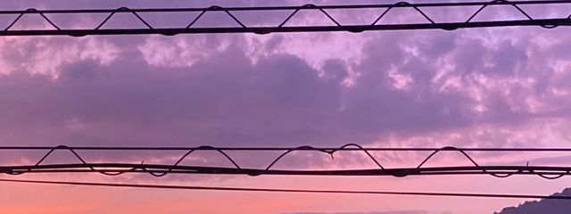 想像Pさんの壁紙画像