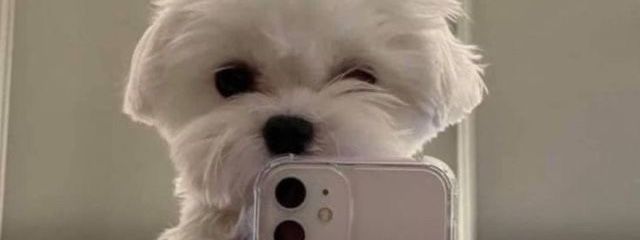 @琴坂__さんの壁紙画像