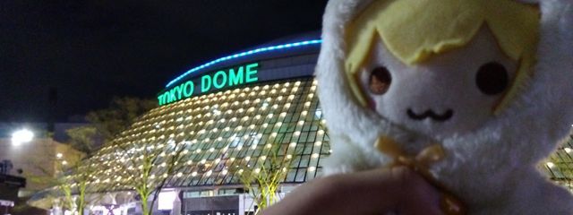 花野愛💛🐹🌈💛高校病んじゃうなぁ( ᐛ )さんの壁紙画像