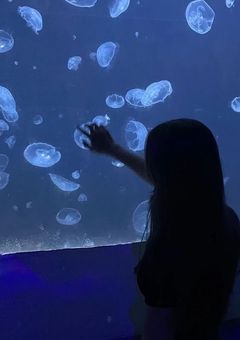 今日、好きになりました。