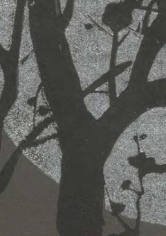 � 闇  月 �      ＿＿�＿  。