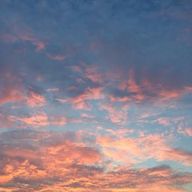 オムライスさんのアイコン画像