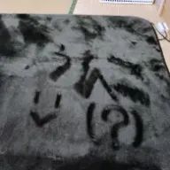 おこわ様ですよこんにちはさんのアイコン画像
