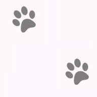 mさんのアイコン画像