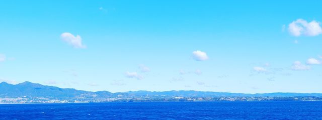 ネモさんの壁紙画像