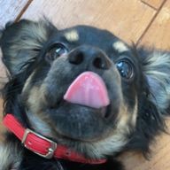 みーみかん🍊さんのアイコン画像