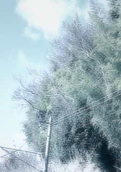 い つ か 必 ず 最 強 に ＿＿ 。