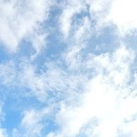 ｶﾙﾋﾟｽｿｰﾀﾞさんのアイコン画像