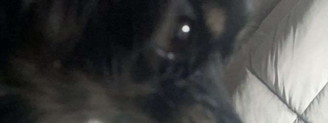 いくみさんの壁紙画像