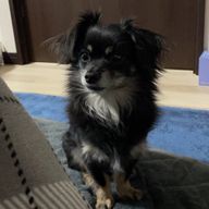 いくみさんのアイコン画像