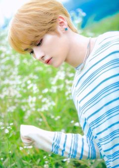 僕らを繋ぐお弁当