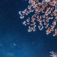 しずくさんのアイコン画像