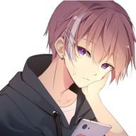 ルナ☆彡💜@非公開祭りさんのアイコン画像