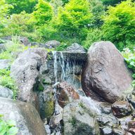 すだちくんさんのアイコン画像