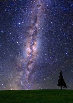 私は星になった