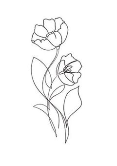 私の家族は尾も白い!!