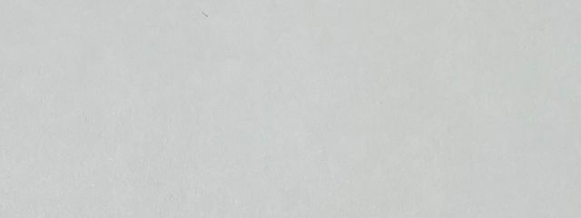もちさんの壁紙画像