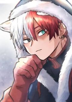 うちの猫様　ヒロアカver.