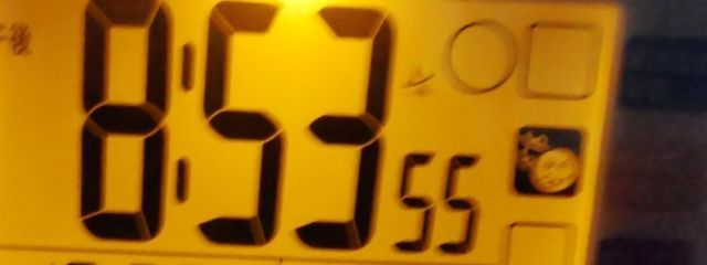 沖縄の糞さんの壁紙画像