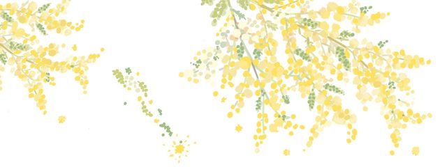 優衣さんの壁紙画像