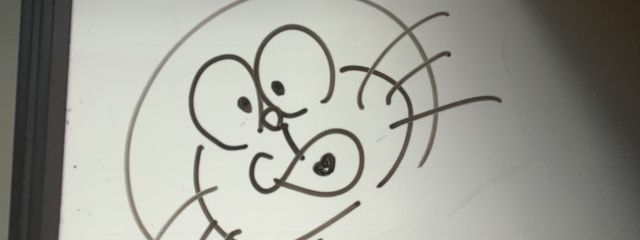 白瀬 ログア済みさんの壁紙画像