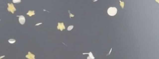 isfpさんの壁紙画像