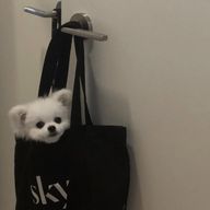 🍨💭さんのアイコン画像