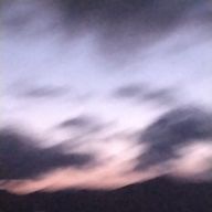 えだまめさんのアイコン画像