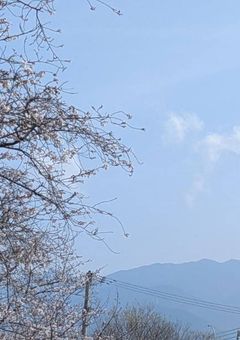 アカウントについて