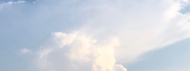 ひなさんの壁紙画像
