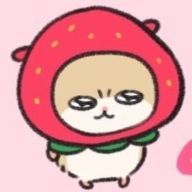 たまごぼーろさんのアイコン画像