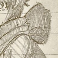 あおまふらーさんのアイコン画像