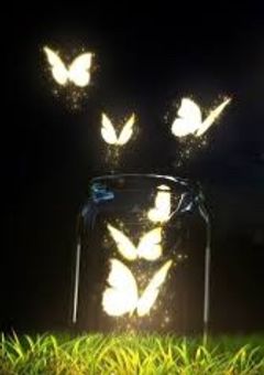 蝶の君は呪術師