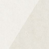 rinさんのアイコン画像